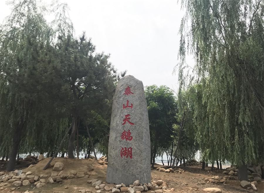 天鵝湖風景區(qū)（泰山）速覽！(圖12)