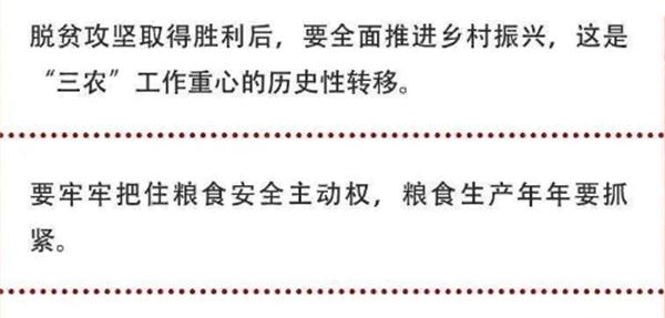 2020年中央農村工作會議精神速覽！(圖2)