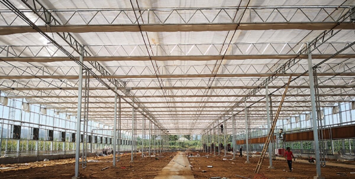 信橋鋼構(gòu)：打卡蒙陰農(nóng)業(yè)溫室大棚、青州黑牛養(yǎng)殖基地！(圖3)