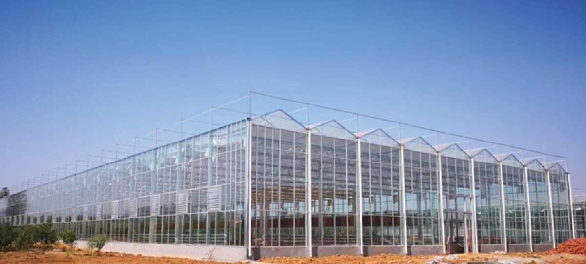 信橋鋼構(gòu)：打卡蒙陰農(nóng)業(yè)溫室大棚、青州黑牛養(yǎng)殖基地！(圖2)